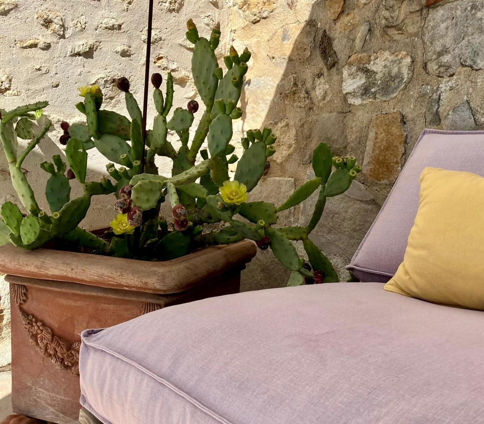 Casa La Rosa & Spa Courdimanche-sur-Essonnes エクステリア 写真